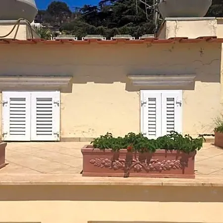 Aparthotel Igea